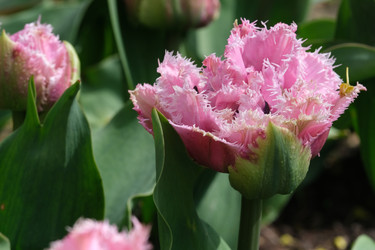 Similar image 22188068