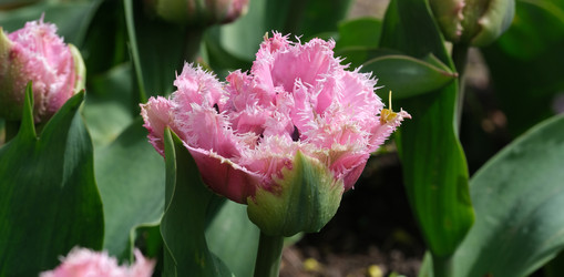 Similar image 22188069