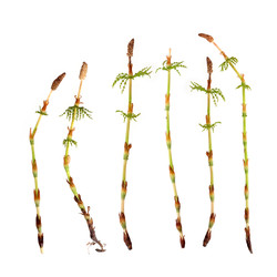 Similar image 22188070