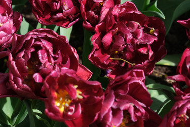 Similar image 22188071