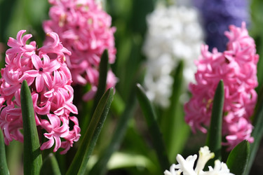 Similar image 22188358