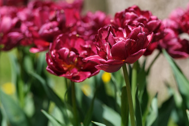 Similar image 22188359