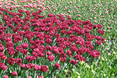 Similar image 22188362