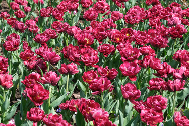 Similar image 22188364