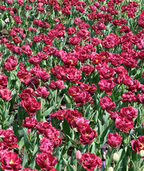 Similar image 22188365