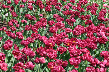 Similar image 22188367