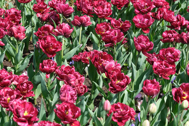 Similar image 22188368