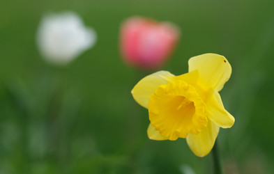 Similar image 22188370