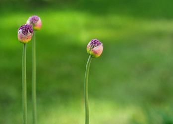 Similar image 22188372