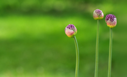 Similar image 22188374