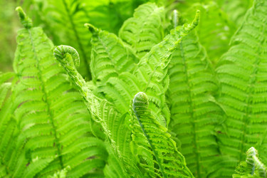 Similar image 22188377