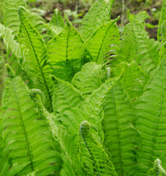 Similar image 22188378