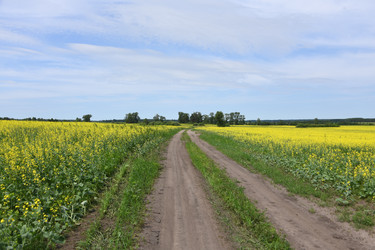 Similar image 22187314