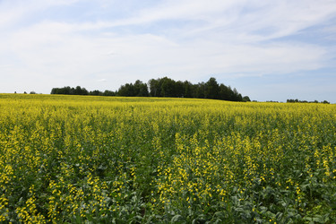 Similar image 22187315