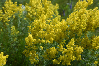 Similar image 22187316