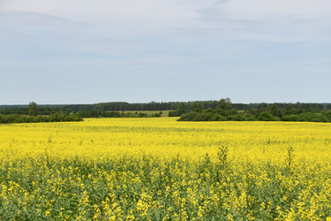 Similar image 22187317