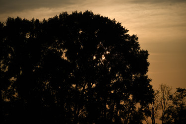 Similar image 22187318