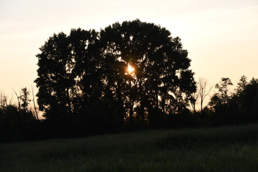 Similar image 22187319