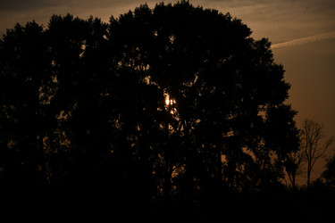 Similar image 22187320