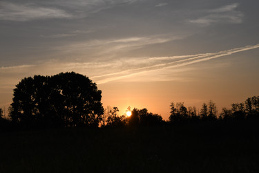 Similar image 22187323