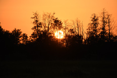 Similar image 22187324