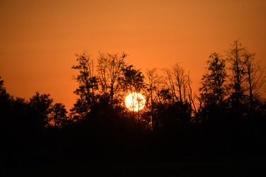 Similar image 22187325