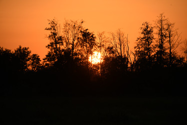 Similar image 22187326