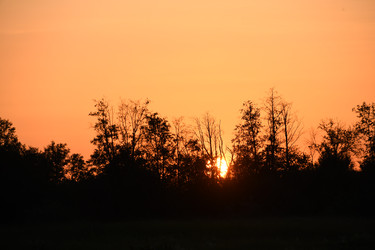 Similar image 22187327