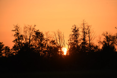 Similar image 22187329