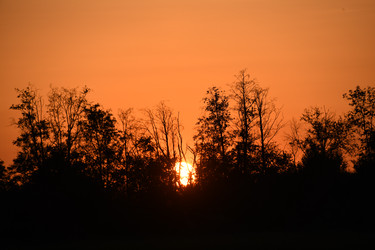 Similar image 22187330