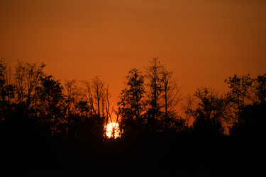 Similar image 22187331