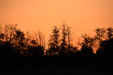 Similar image 22187332