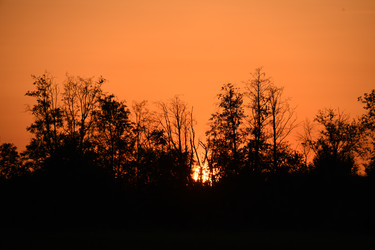 Similar image 22187333