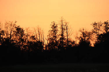 Similar image 22187334