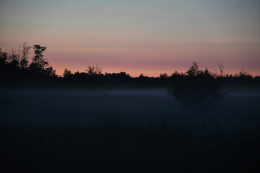 Similar image 22187339