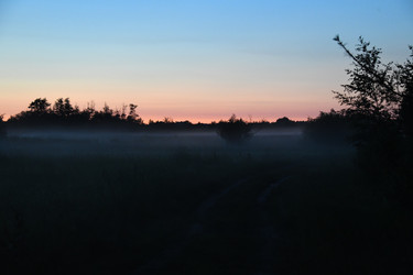 Similar image 22187340