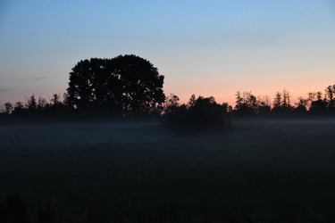 Similar image 22187341