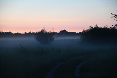 Similar image 22187342