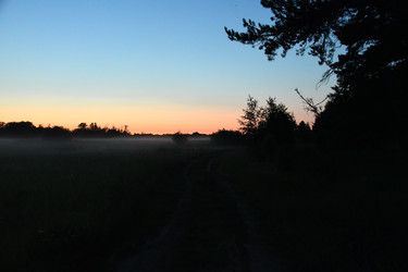 Similar image 22187438