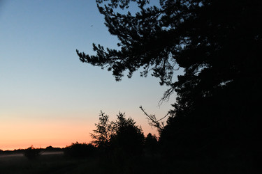 Similar image 22187441