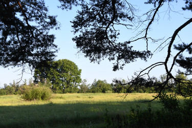 Similar image 22187442