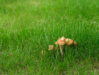 Similar image 22189231