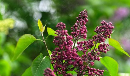 Similar image 22189235