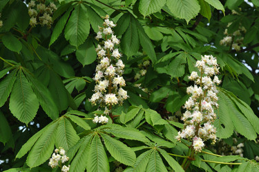 Similar image 22189236