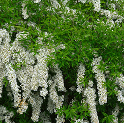 Similar image 22189238