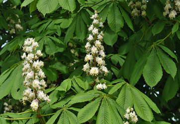 Similar image 22189240