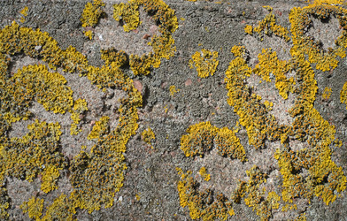 Similar image 22189241