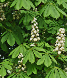 Similar image 22189242