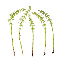 Similar image 22189244