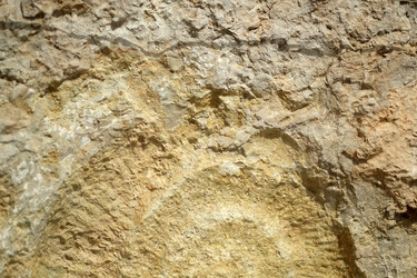 Similar image 22186897